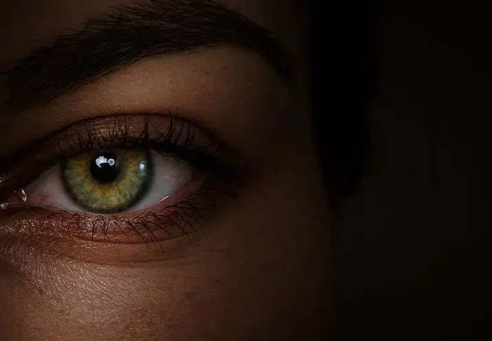 General Consultations