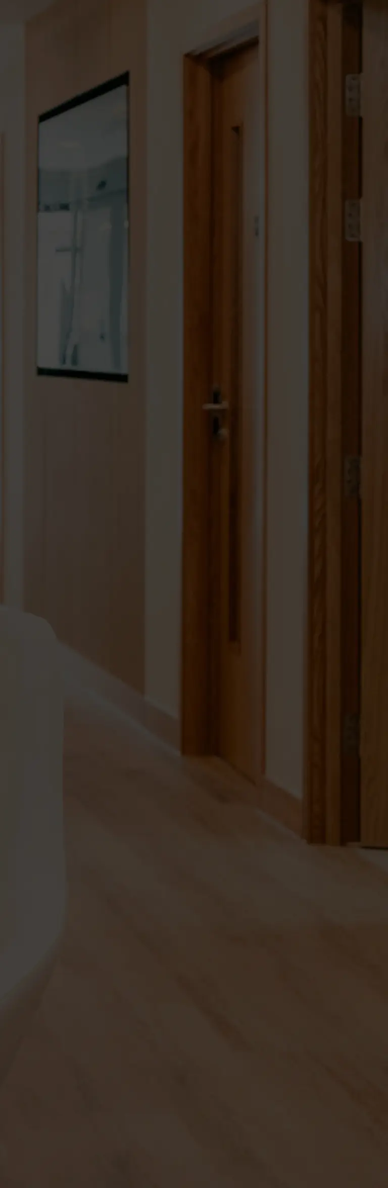 laser vision about us