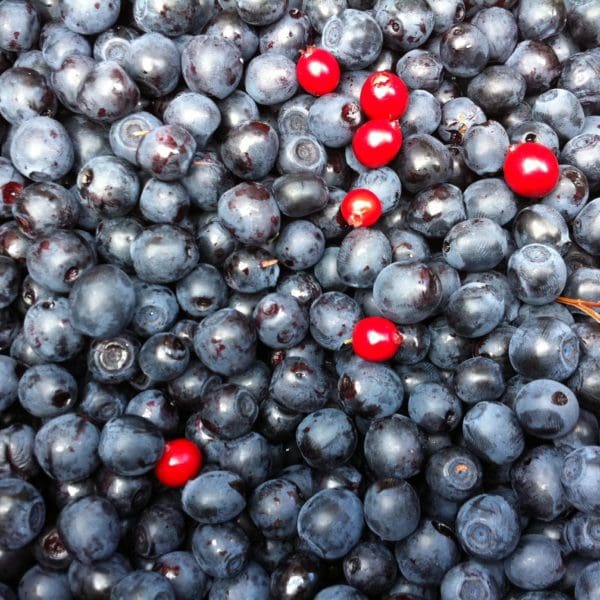 Superfood Recipes That Will Boost Your Spirits and Your Eyesight!